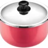 حلة تيفال زهران مينيت غطاء استانلس Tefal Minute
